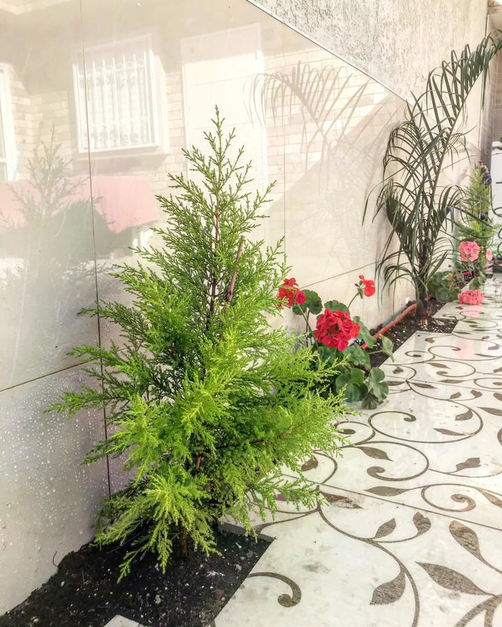 Shahal Apartments Beersheba Ngoại thất bức ảnh